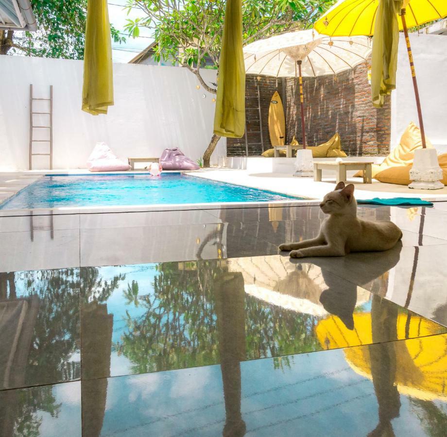 Auberge de jeunesse La Boheme Canggu Extérieur photo